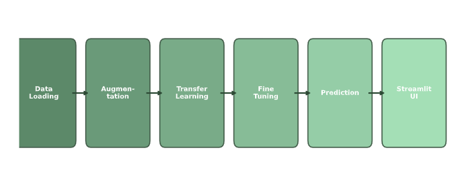 Dog Breed Classification CNN screenshot 1 of 1